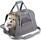 Bolsa para Transporte de Pets - Neonex Store